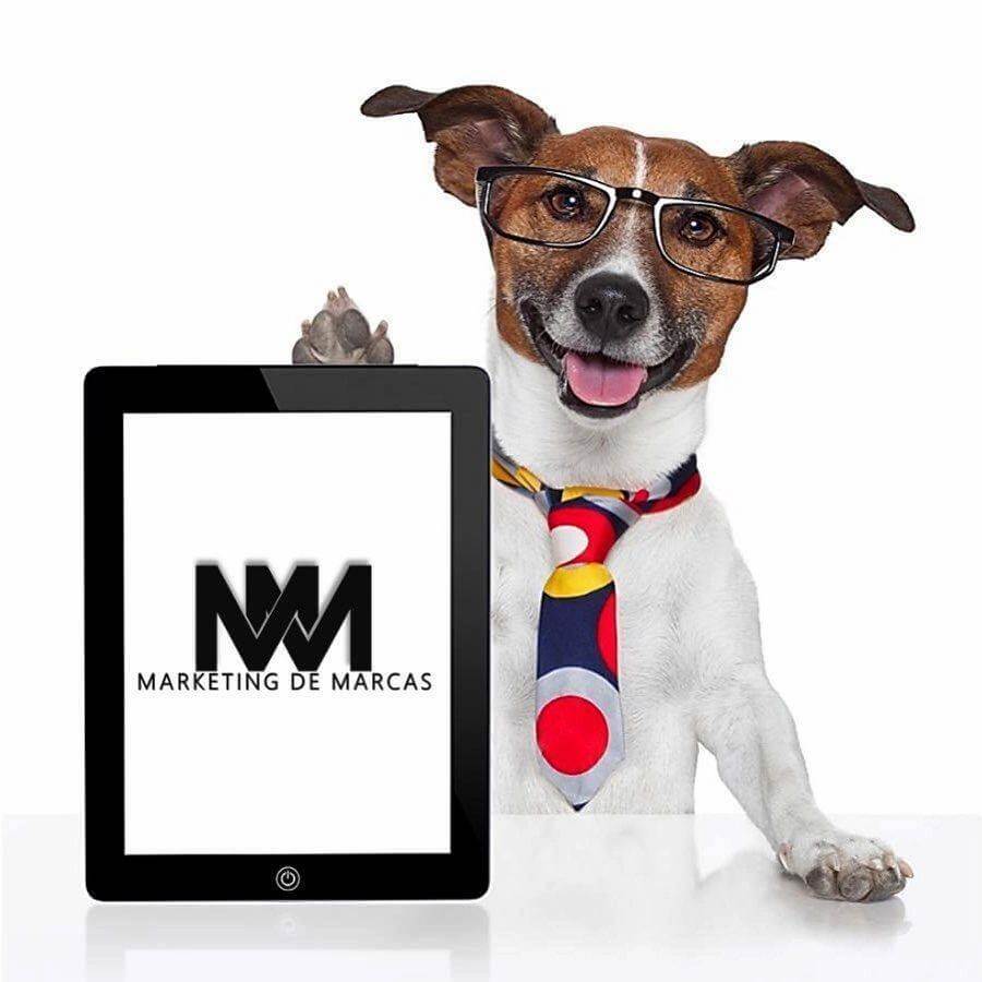 Marketing de Marcas