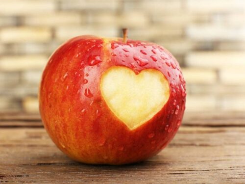 Alimentación vs. Nutrición