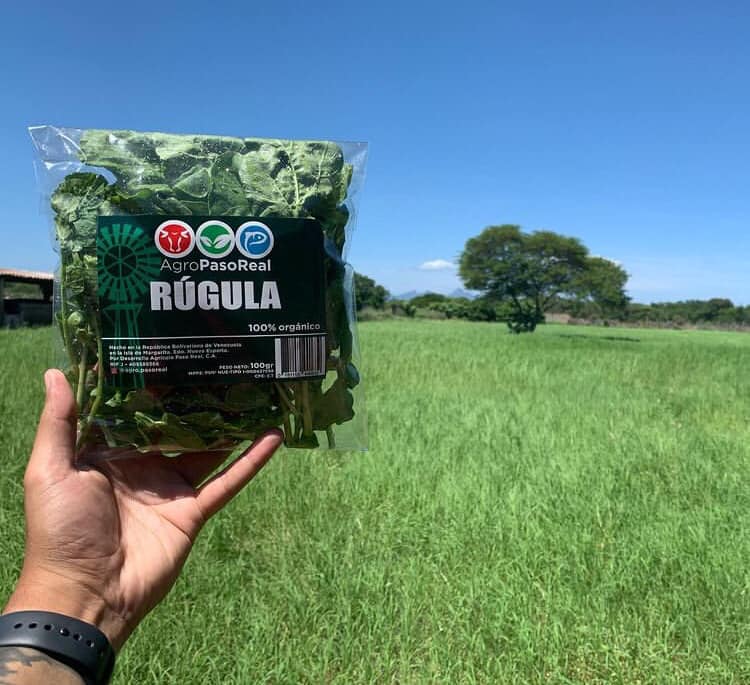 Desarrollo Agrícola Paso Real